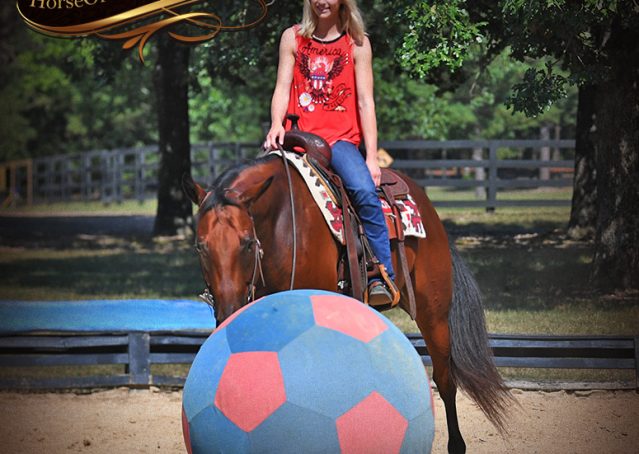 019-Magic-AQHA-Bay-Gelding-For-Sale-Ranch