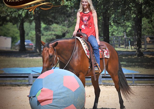 020-Magic-AQHA-Bay-Gelding-For-Sale-Ranch