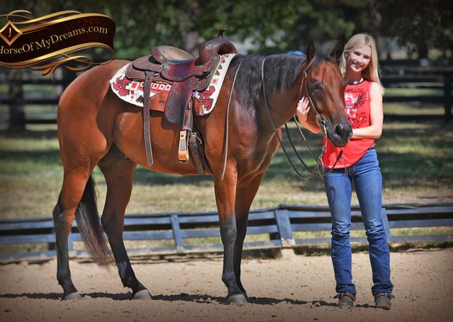 022-Magic-AQHA-Bay-Gelding-For-Sale-Ranch