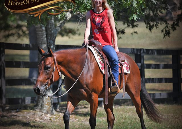025-Magic-AQHA-Bay-Gelding-For-Sale-Ranch