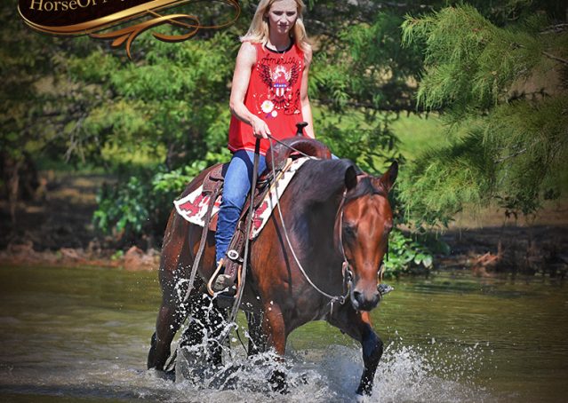 029-Magic-AQHA-Bay-Gelding-For-Sale-Ranch