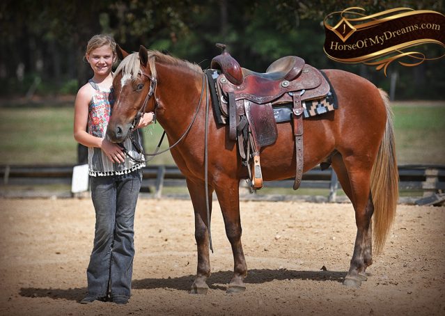 014-Copper-Chestnut-pony-Gelding