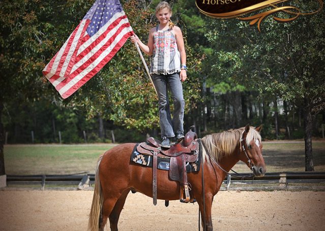 018-Copper-Chestnut-pony-Gelding