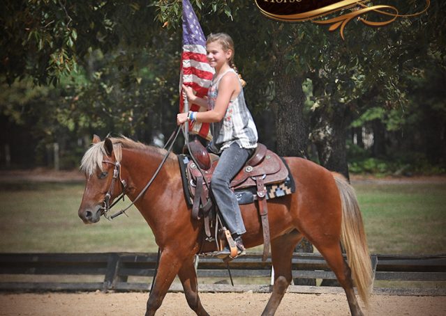 019-Copper-Chestnut-pony-Gelding