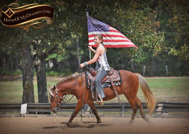 020-Copper-Chestnut-pony-Gelding