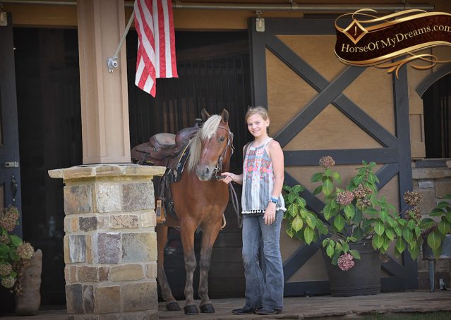 028-Copper-Chestnut-pony-Gelding