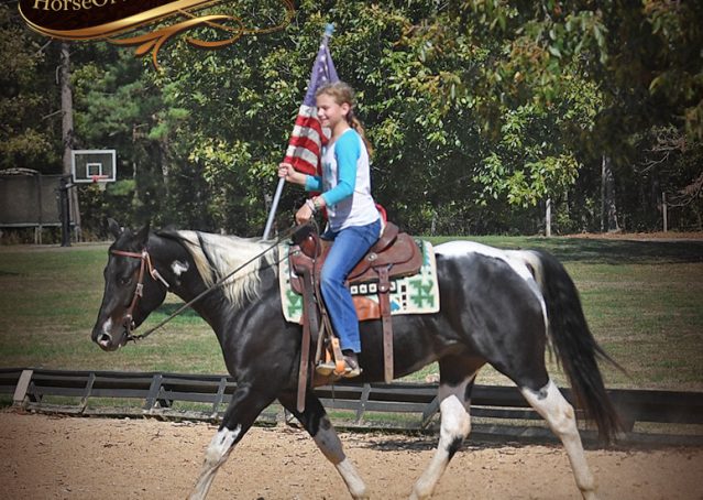 020-Liberty-Black-Tobiano-APHA-Gelding-Gentle-for-Sale