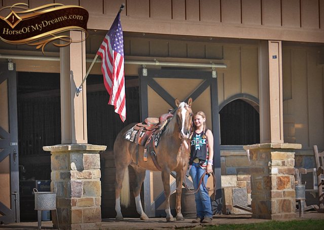 009-Leo-AQHA-Chocolate-Palomino-Quarter-Horse-Gelding-For-Sale