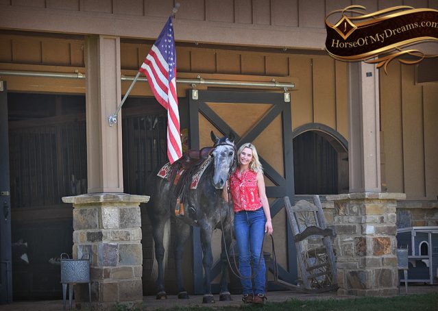 006-Cactus-AQHA-Gray-Gelding-Ranch-Horse-For-Sale