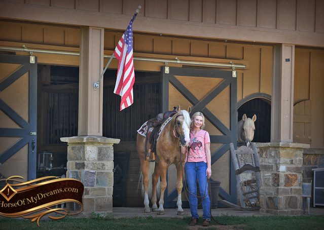 006-Patron-Palomino-AQHA-Reiner-Ranch-Gelding-For-Sale