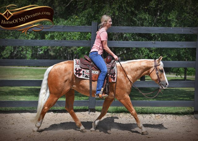 008-Patron-Palomino-AQHA-Reiner-Ranch-Gelding-For-Sale