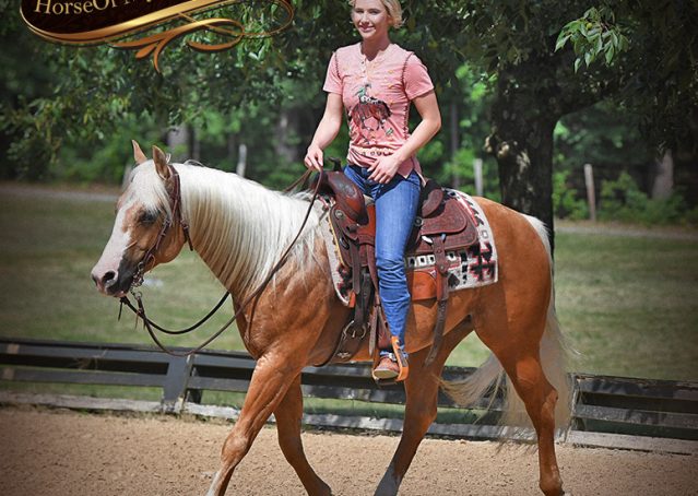 012-Patron-Palomino-AQHA-Reiner-Ranch-Gelding-For-Sale