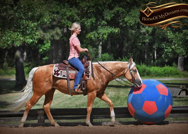 013-Patron-Palomino-AQHA-Reiner-Ranch-Gelding-For-Sale