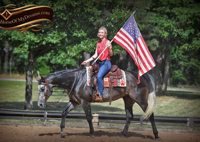 014-Cactus-AQHA-Gray-Gelding-Ranch-Horse-For-Sale