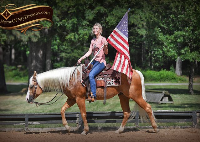 014-Patron-Palomino-AQHA-Reiner-Ranch-Gelding-For-Sale