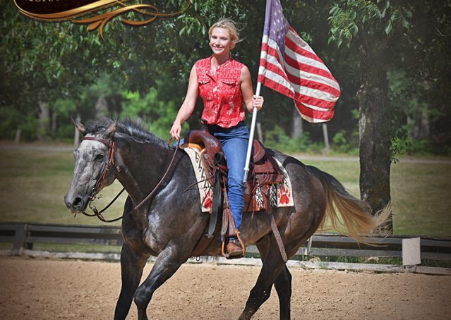 016-Cactus-AQHA-Gray-Gelding-Ranch-Horse-For-Sale
