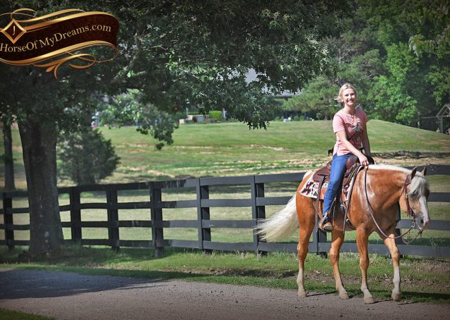 018-Patron-Palomino-AQHA-Reiner-Ranch-Gelding-For-Sale