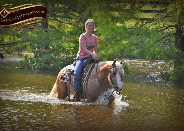 021-Patron-Palomino-AQHA-Reiner-Ranch-Gelding-For-Sale