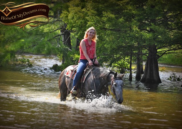 026-Cactus-AQHA-Gray-Gelding-Ranch-Horse-For-Sale