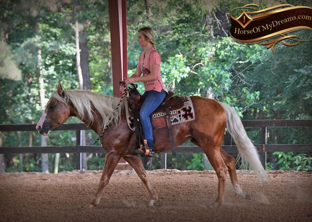 027-Patron-Palomino-AQHA-Reiner-Ranch-Gelding-For-Sale