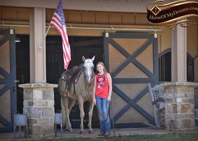 003-Jack-AQHA-Palomino-Quarter-Horse-Gelding-For-Sale