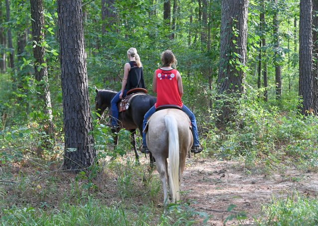 011-Cadillac-Black-AQHA-Gelding-For-Sale