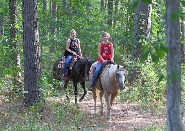 012-Cadillac-Black-AQHA-Gelding-For-Sale