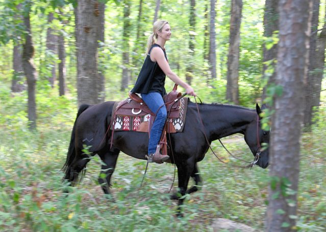 013-Cadillac-Black-AQHA-Gelding-For-Sale