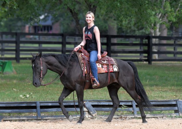 014-Cadillac-Black-AQHA-Gelding-For-Sale