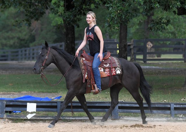 015-Cadillac-Black-AQHA-Gelding-For-Sale