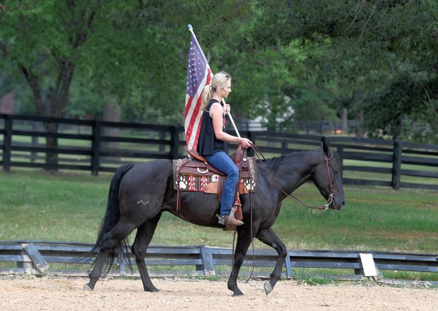 016-Cadillac-Black-AQHA-Gelding-For-Sale