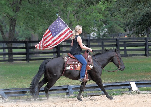 018-Cadillac-Black-AQHA-Gelding-For-Sale