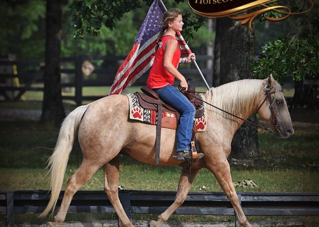 018-Jack-AQHA-Palomino-Quarter-Horse-Gelding-For-Sale