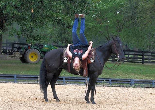 020-Cadillac-Black-AQHA-Gelding-For-Sale