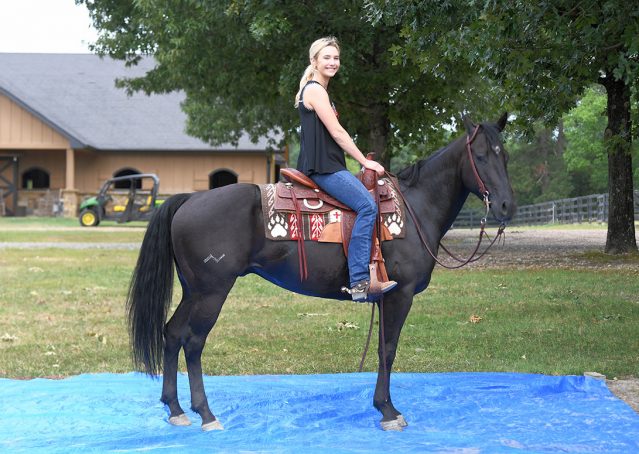 023-Cadillac-Black-AQHA-Gelding-For-Sale