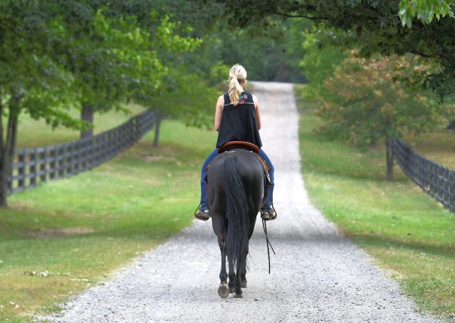 024-Cadillac-Black-AQHA-Gelding-For-Sale