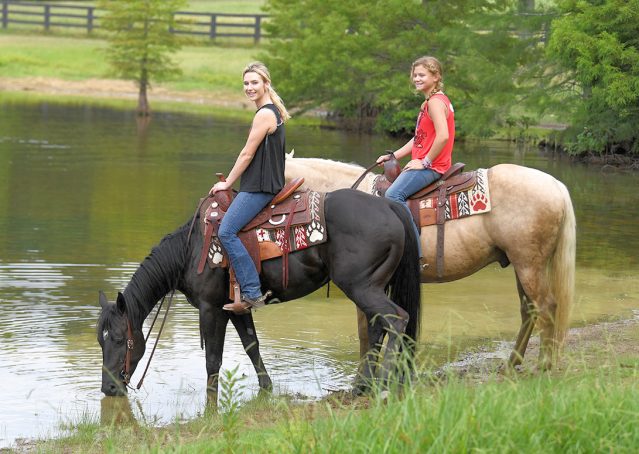 027-Cadillac-Black-AQHA-Gelding-For-Sale