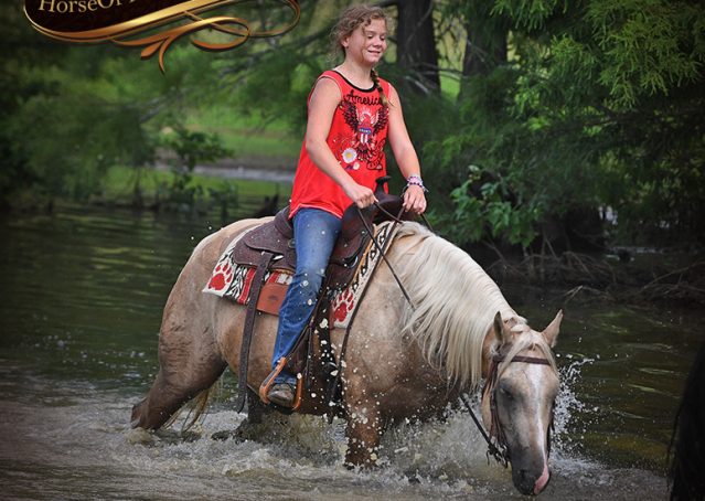 028-Jack-AQHA-Palomino-Quarter-Horse-Gelding-For-Sale
