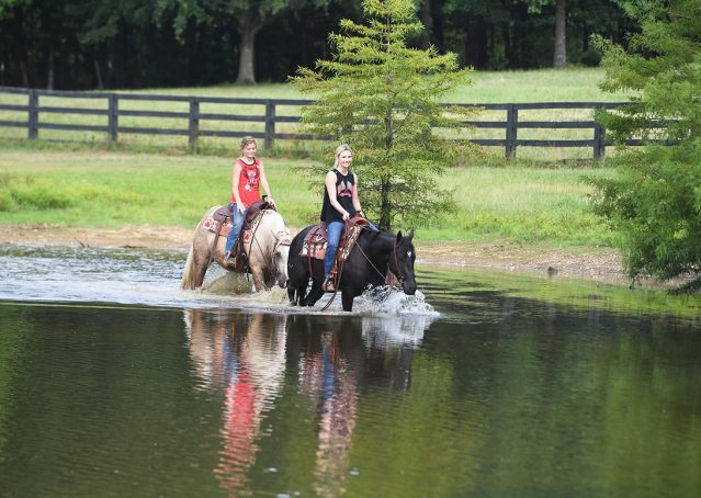 029-Cadillac-Black-AQHA-Gelding-For-Sale