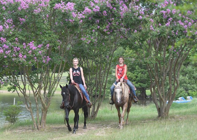030-Cadillac-Black-AQHA-Gelding-For-Sale