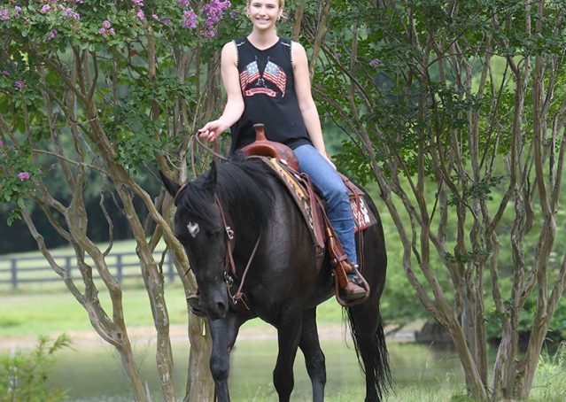 031-Cadillac-Black-AQHA-Gelding-For-Sale