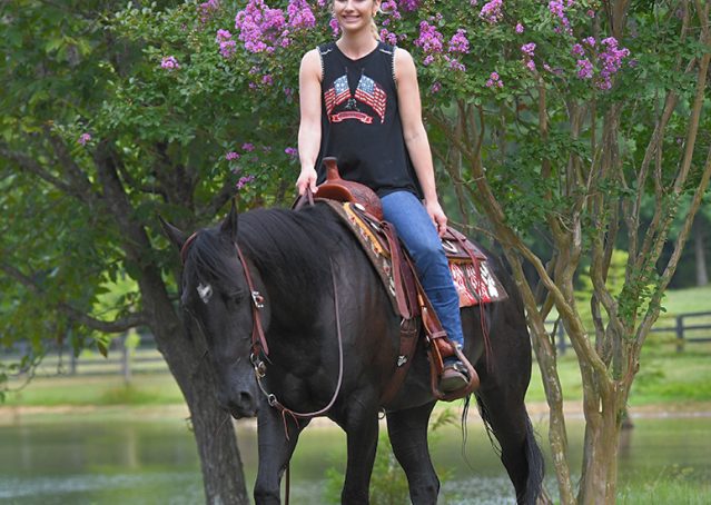 032-Cadillac-Black-AQHA-Gelding-For-Sale