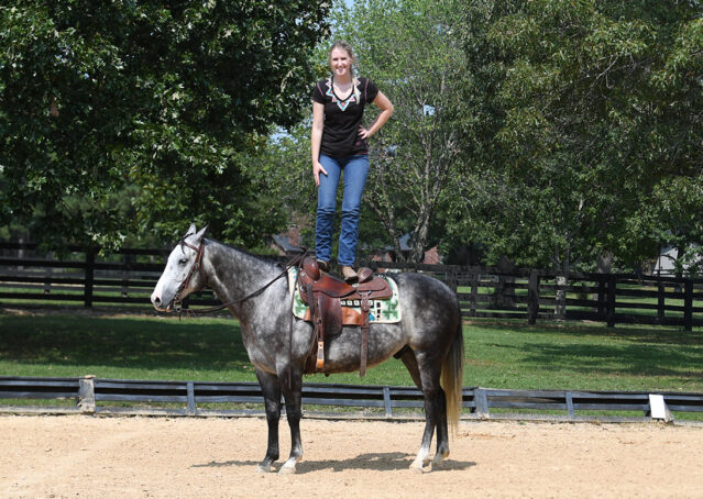 006-Dakota-AQHA-Dapple-Gray-Grey-Quarter-Quarter-Horse-Gelding-Family-english-western-for-sale