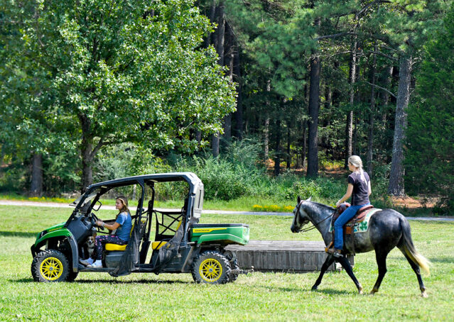 007-Dakota-AQHA-Dapple-Gray-Grey-Quarter-Quarter-Horse-Gelding-Family-english-western-for-sale