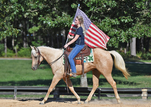 009-Hickory-AQHA-Golden-Palomino-Gelding-For-Sale-Kids-Beginner-Family-ranch-hollywood-dun-it