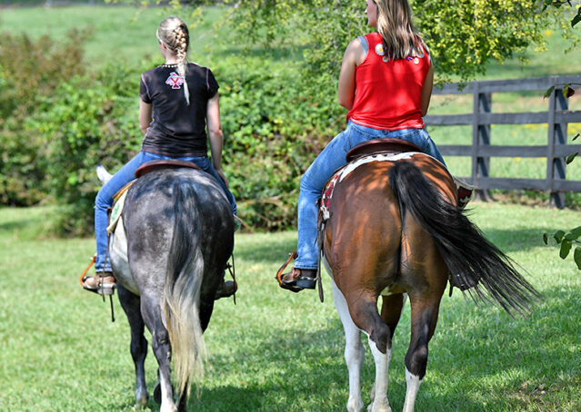 011-Dakota-AQHA-Dapple-Gray-Grey-Quarter-Quarter-Horse-Gelding-Family-english-western-for-sale