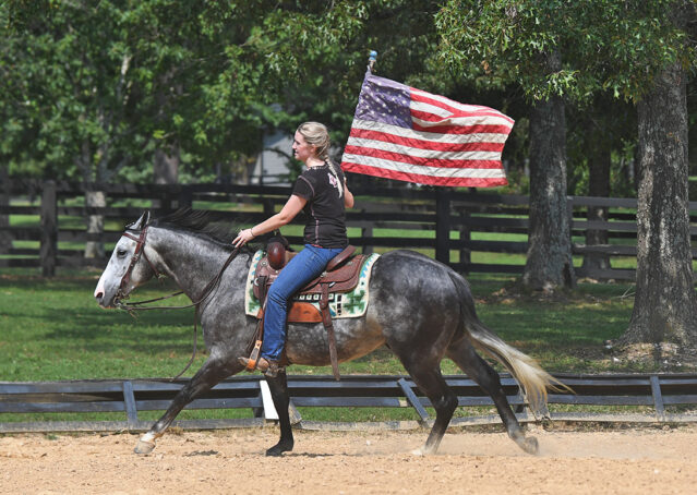 017-Dakota-AQHA-Dapple-Gray-Grey-Quarter-Quarter-Horse-Gelding-Family-english-western-for-sale