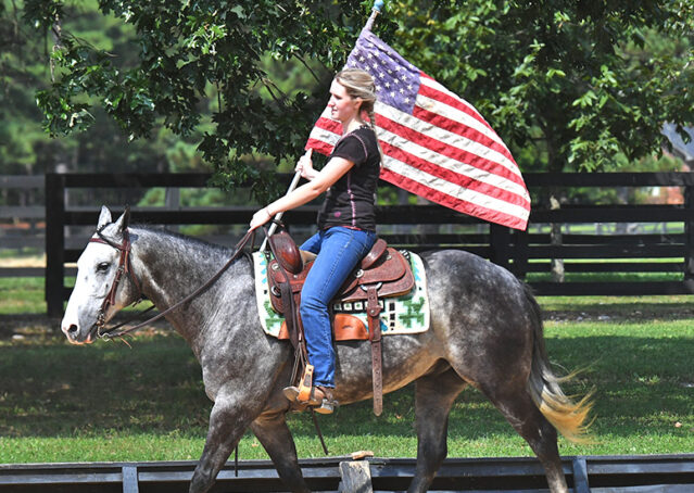 018-Dakota-AQHA-Dapple-Gray-Grey-Quarter-Quarter-Horse-Gelding-Family-english-western-for-sale