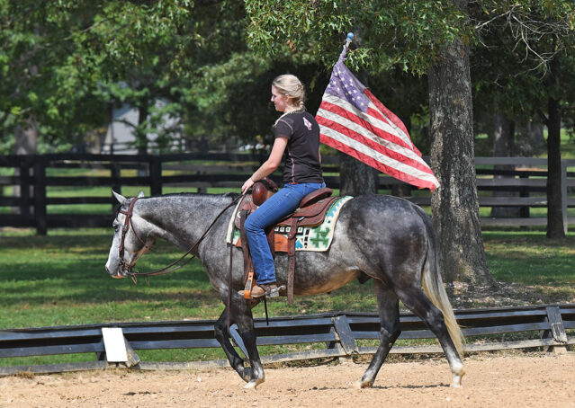 019-Dakota-AQHA-Dapple-Gray-Grey-Quarter-Quarter-Horse-Gelding-Family-english-western-for-sale