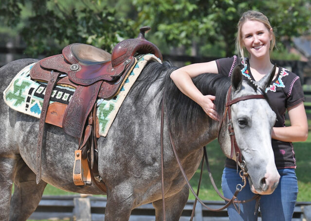020-Dakota-AQHA-Dapple-Gray-Grey-Quarter-Quarter-Horse-Gelding-Family-english-western-for-sale